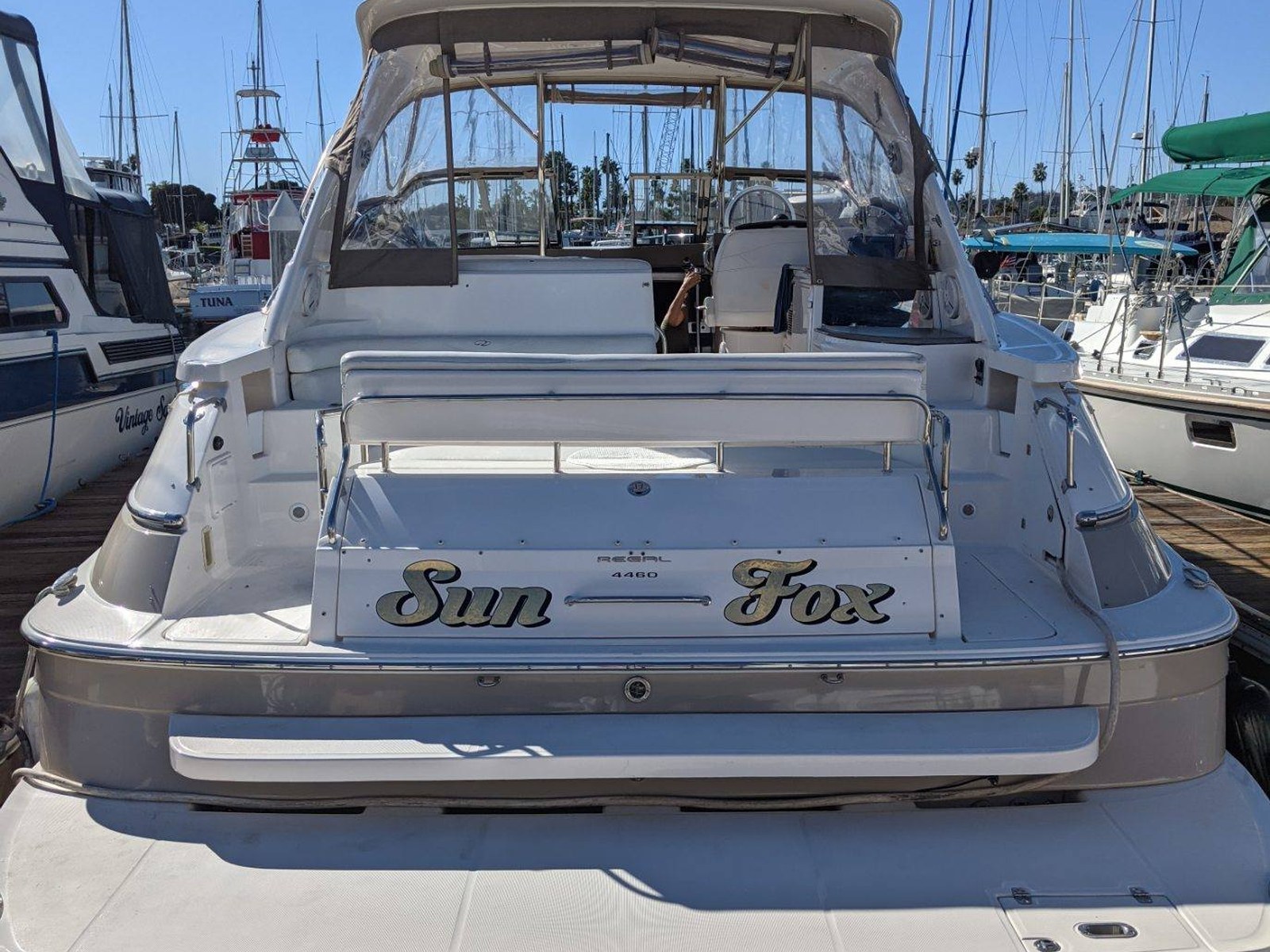 Sun Fox photo 1
